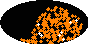 galactic footprint (+footg5.gif)